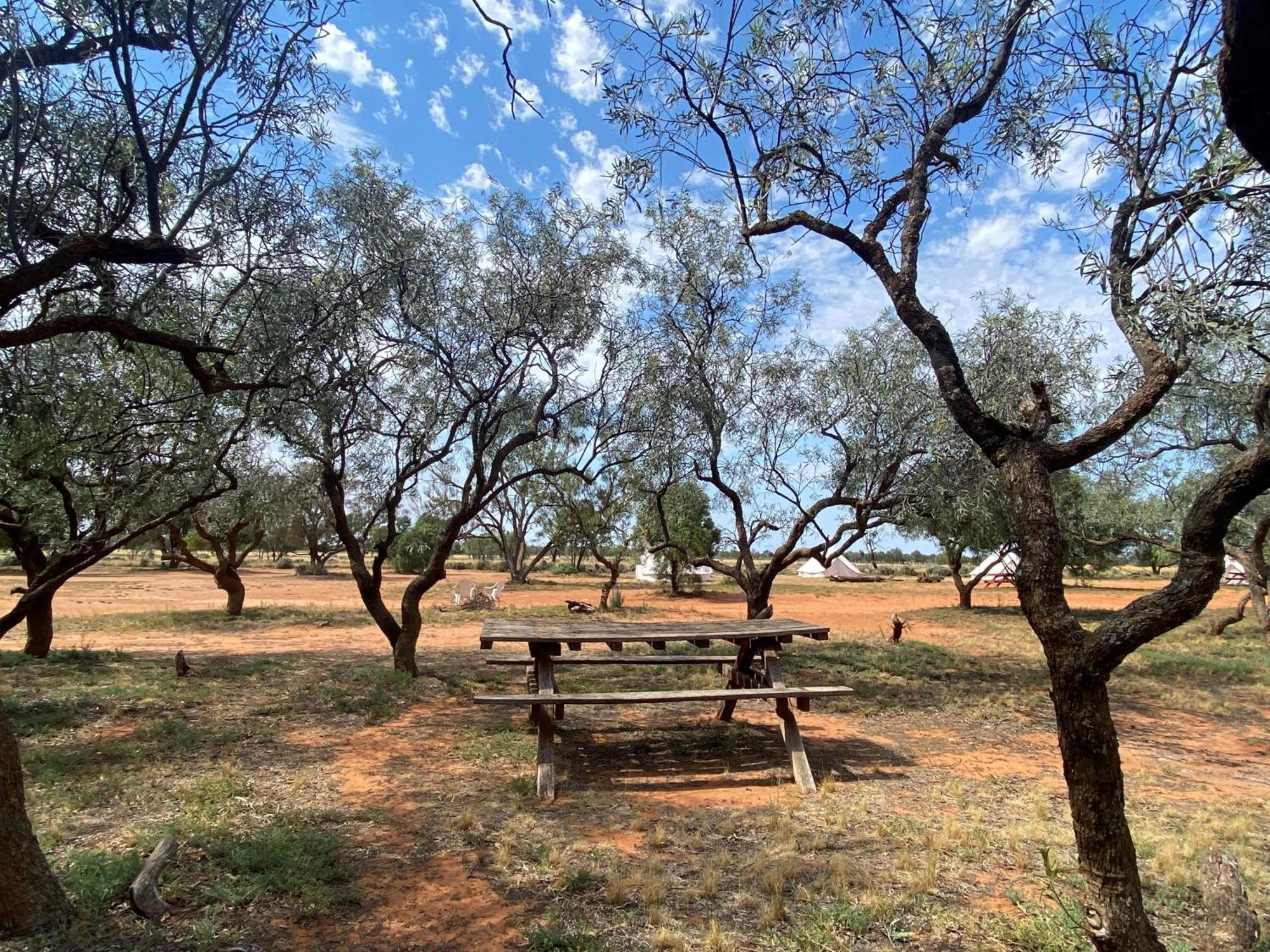 Mungo Lodge Εξωτερικό φωτογραφία