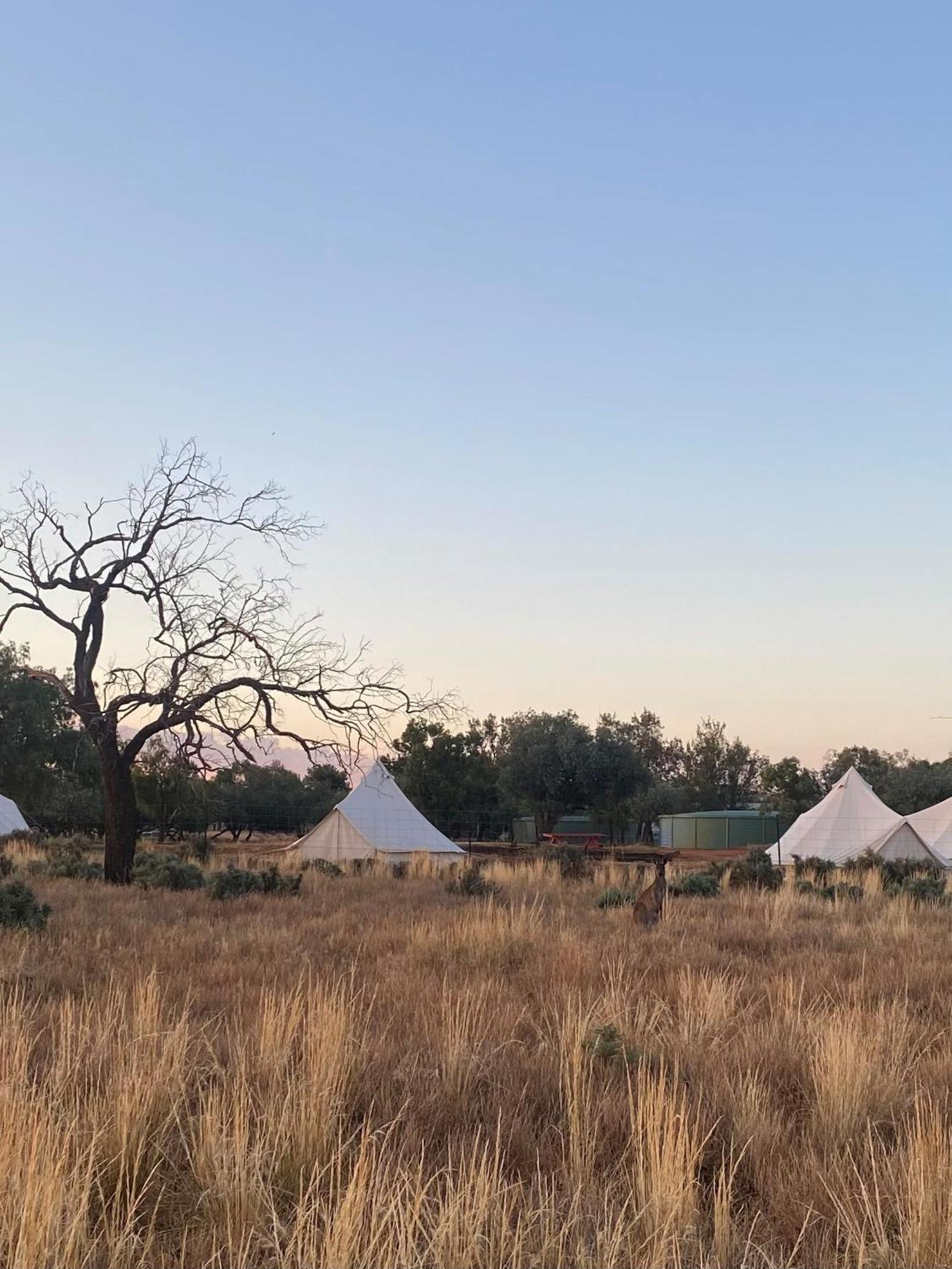 Mungo Lodge Εξωτερικό φωτογραφία